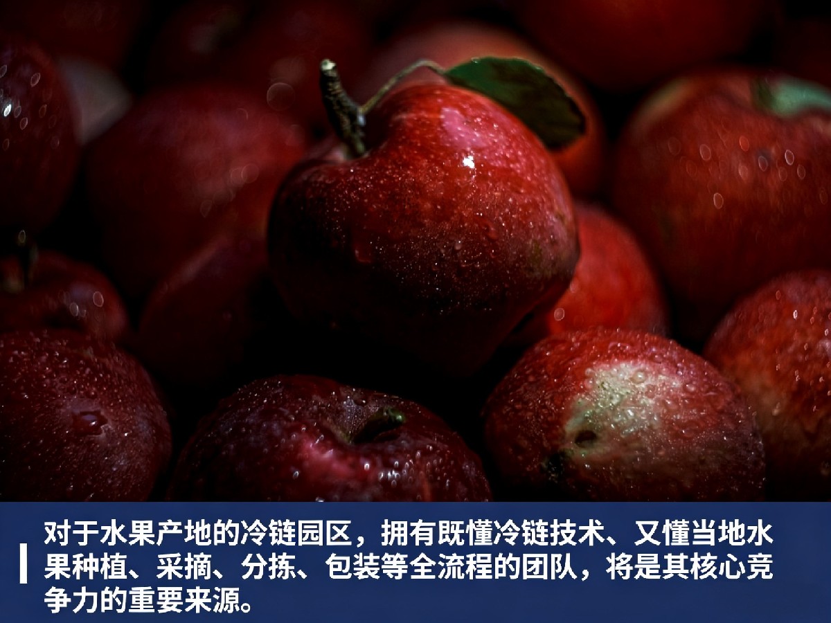 水果冷链深度洞察：水果高附加值需求荒，冷链园区可从一体化供应链切入